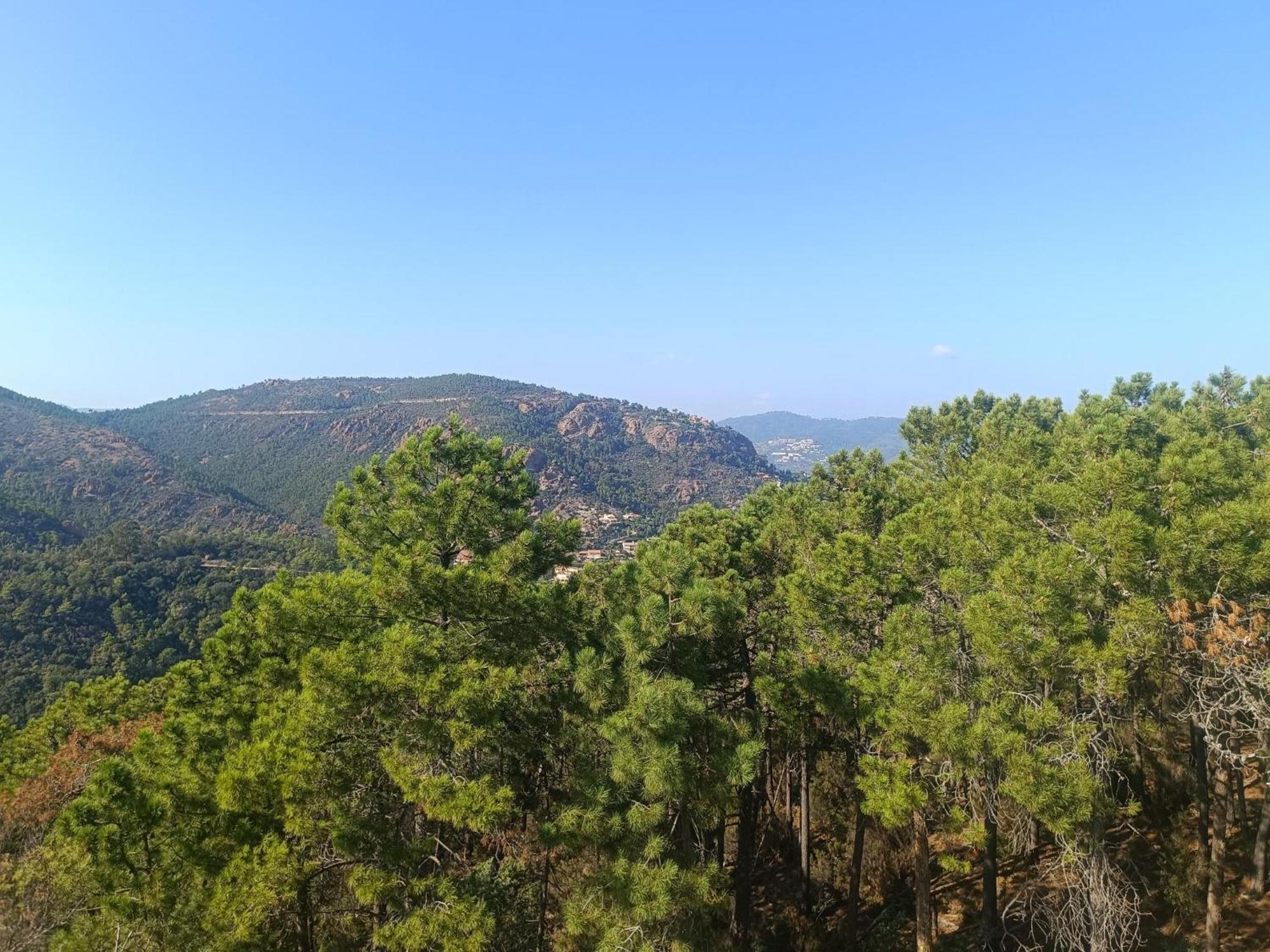 Magnifique Vue Mer Et Piscine - Les Cles De L Esterel Théoule-sur-Mer Exterior photo